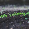 2019 SaaS Growth Hacks