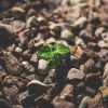Growth Hacking Tips