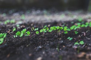 2019 SaaS Growth Hacks