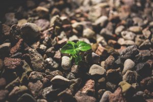 Growth Hacking Tips